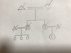 201981319219.JPG